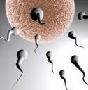 muzska-antikoncepce-antikoncepcni-metody.jpg